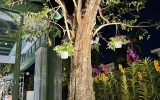 Project | Lakeview Villa 