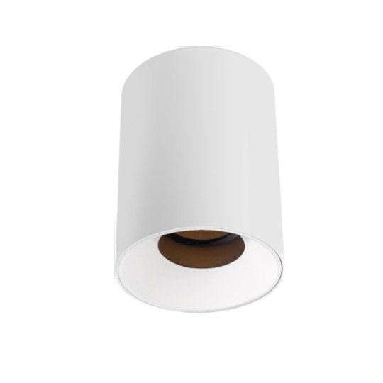 Đèn surface gắn nổi YSF-T80100
